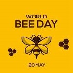 world_bee_day.jpg