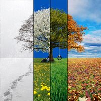 4_Seasons.jpg