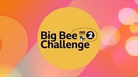 big_bee_Challenge.jpg