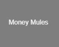 Money_Mules.JPG
