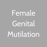 FGM.png