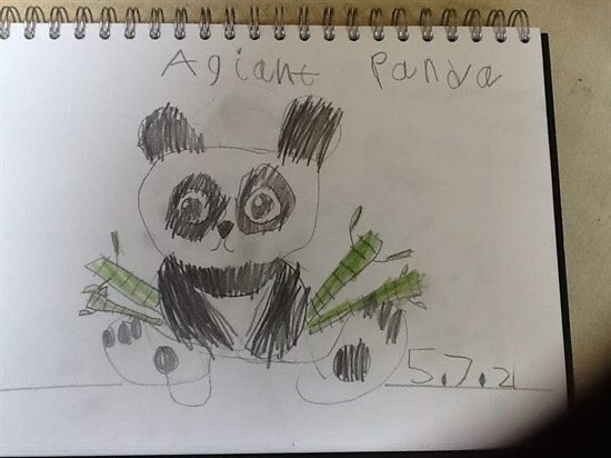 Panda3 (7)