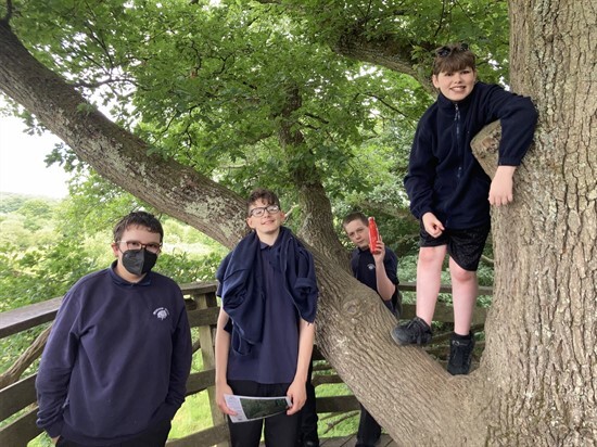 Year 9 tree lookout