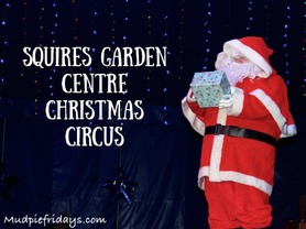 squires_garden_centre_christmas_circus.jpg