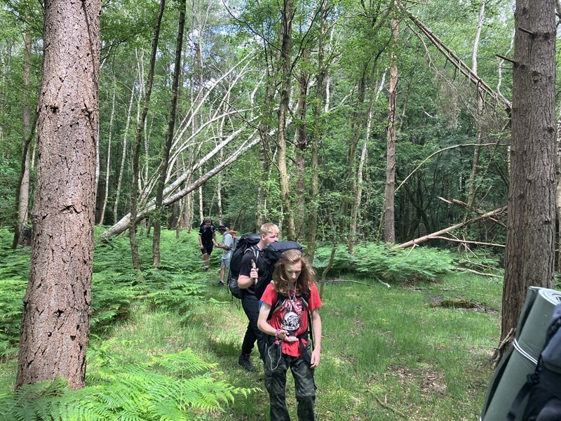 Year 11 hiking through a section of forest