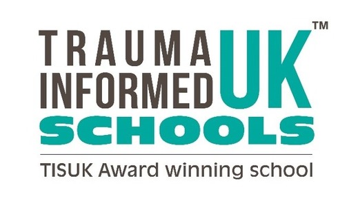 Trauma_Informed_Schools_Photo_for_website.jpg