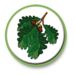 Woodlands School Logo